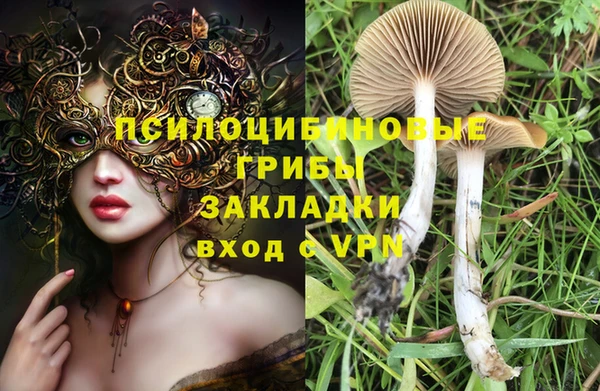 сатива Арсеньев