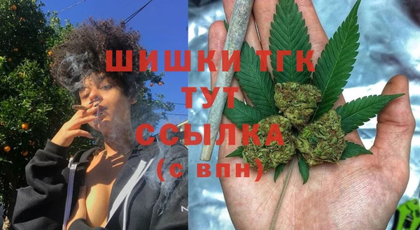 сатива Арсеньев
