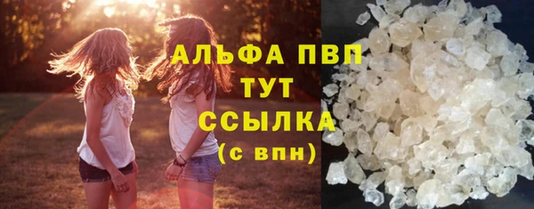 сатива Арсеньев