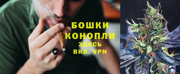 сатива Арсеньев